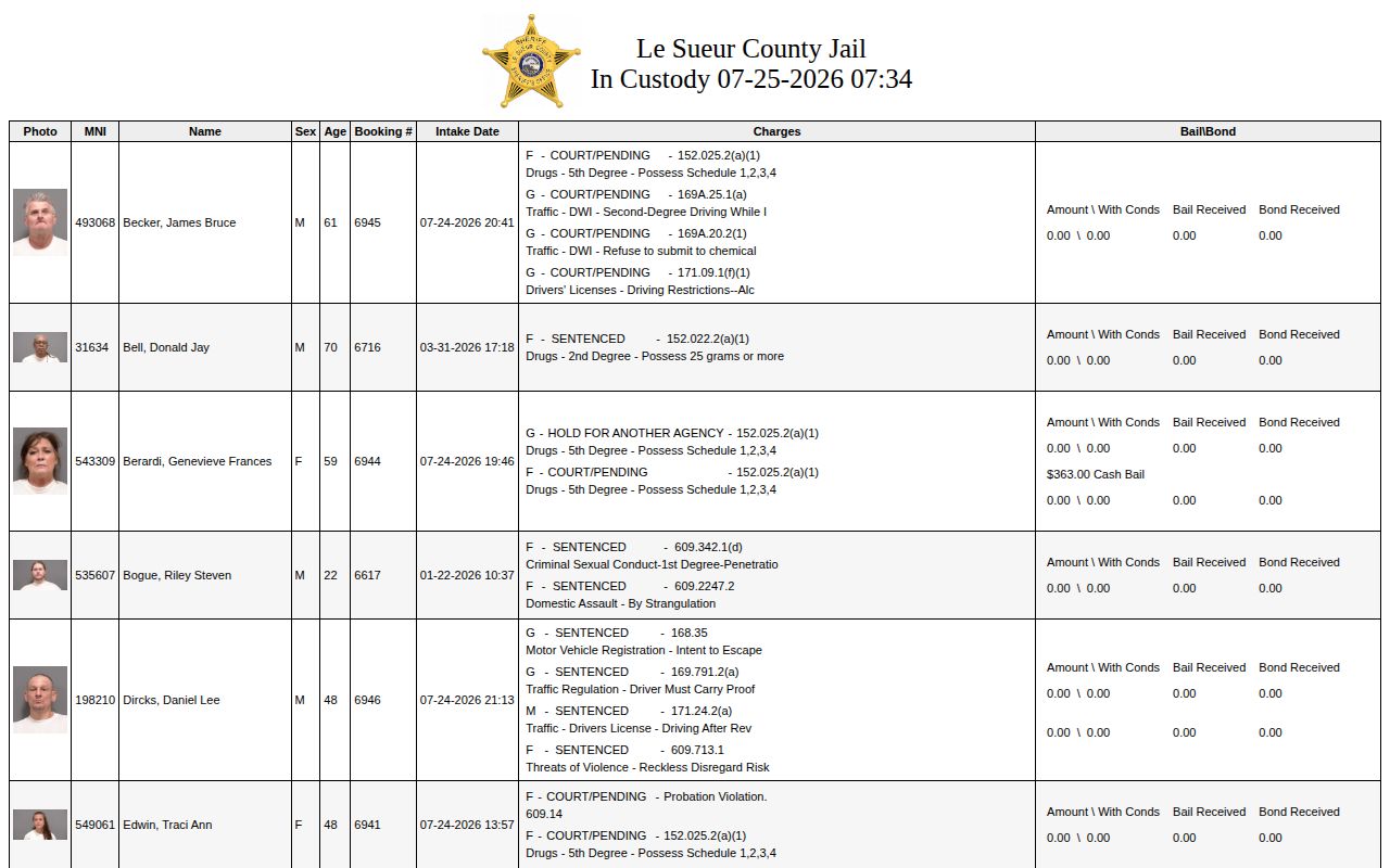 Le Sueur County Jail current custody roster fields